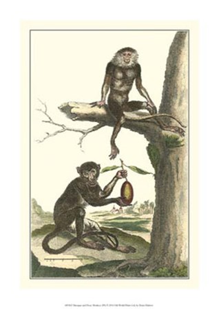 Macaque and Douc Monkeys by Denis Diderot art print