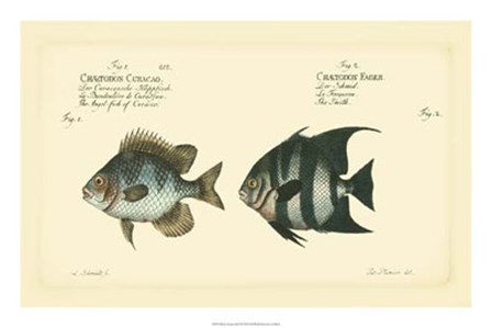 Antique Fish II by Carl Bloch art print