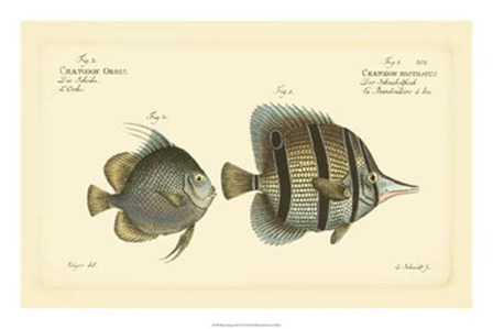 Antique Fish III by Carl Bloch art print