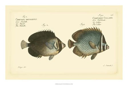 Antique Fish V by Carl Bloch art print