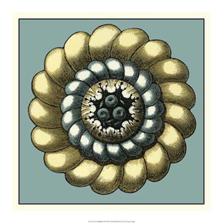 Floral Medallion III by Vision Studio art print