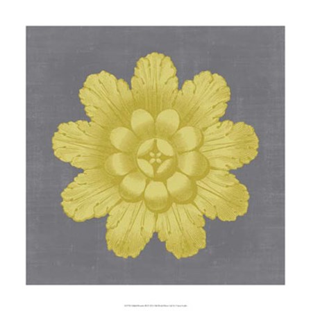 Gilded Rosette III by Vision Studio art print