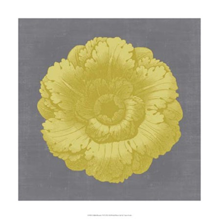 Gilded Rosette VI by Vision Studio art print