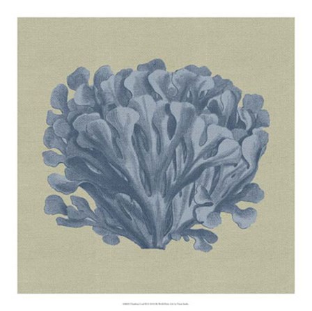 Chambray Coral III by Vision Studio art print