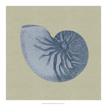 Chambray Shells II by Vision Studio art print