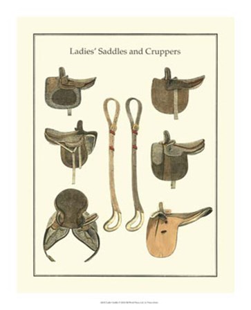 Ladies Saddles by Vision Studio art print