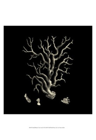 Small Black &amp; Tan Coral I by Vision Studio art print