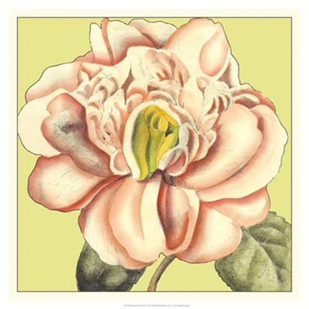 Flower Power II by Deborah Bookman art print