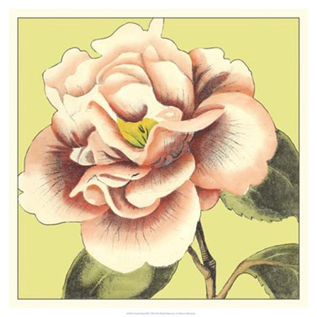 Flower Power III by Deborah Bookman art print