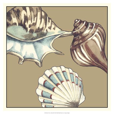 Shell Trio on Khaki III by Megan Meagher art print