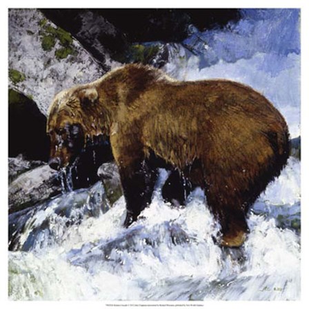 Katmai Cascade by Julie Chapman art print