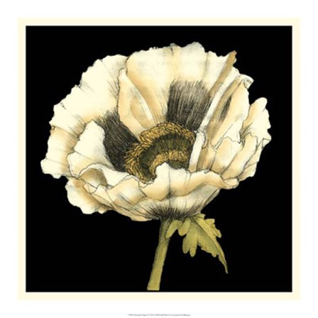 Dramatic Poppy I by Jennifer Goldberger art print