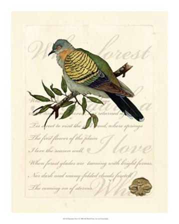 Romantic Dove I by Vision Studio art print