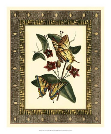 Leather Framed Butterflies I by Deborah Bookman art print
