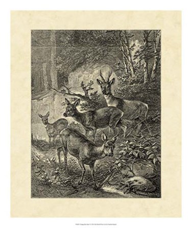 Vintage Roe Deer I by Friedrich Specht art print