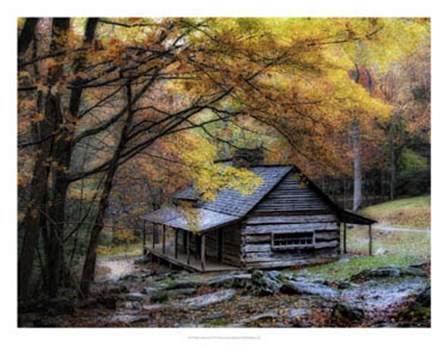 Damp Autumn Day by Danny Head art print