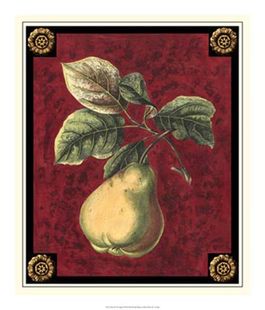 Poire De Portugal by Pierre-Joseph D&#39;avoine art print