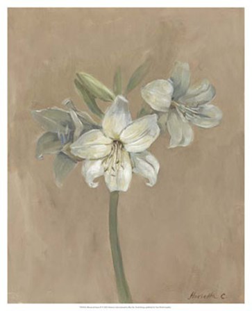 Blooms &amp; Stems IV by Marietta Cohen art print