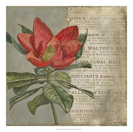 Vintage Fleur Rouge I by Megan Meagher art print