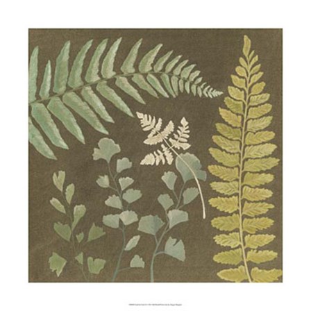 Earth &amp; Fern II by Megan Meagher art print