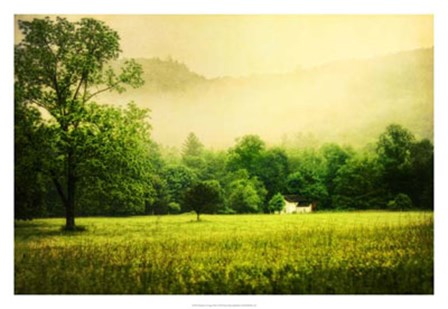 Farmhouse on Foggy Morn&#39; by Danny Head art print