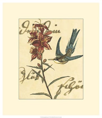Hummingbird Reverie IV by Vision Studio art print