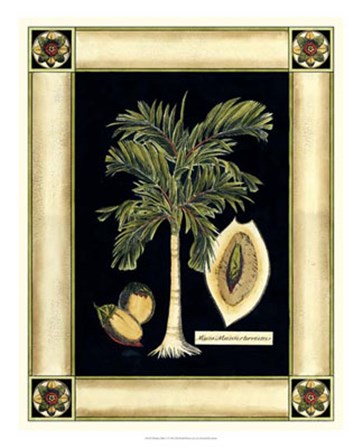 Paradise Palm V by Deborah Bookman art print