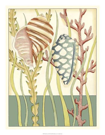 Shell Season II by Chariklia Zarris art print