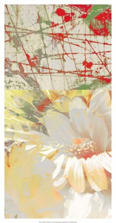 White Wonders II by Ricki Mountain art print