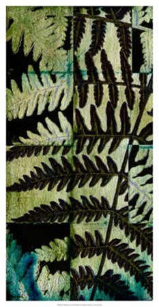 Midnight Ferns II by Vision Studio art print