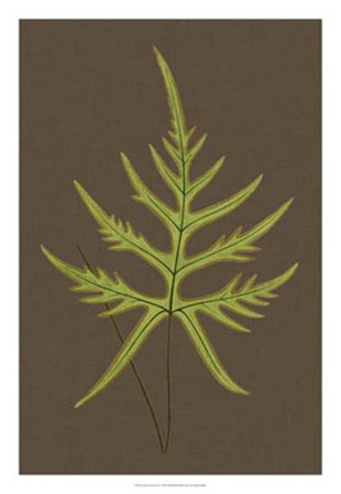 Ferns on Linen IV by Vision Studio art print