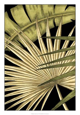 Rustic Tropical Leaves I by Ethan Harper art print