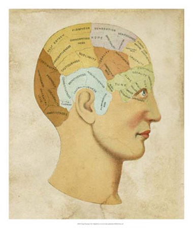 Vintage Phrenology by Vision Studio art print