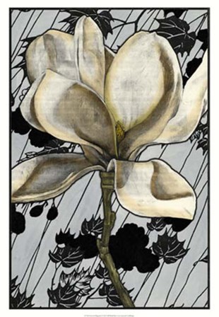 Patterned Magnolia I by Jennifer Goldberger art print