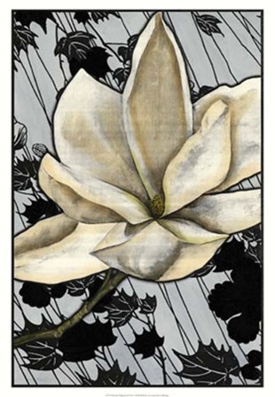 Patterned Magnolia II by Jennifer Goldberger art print