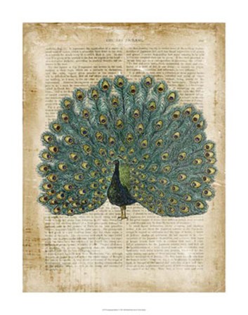 Antiquarian Birds V by Vision Studio art print