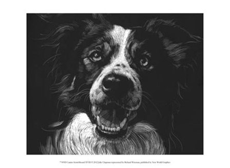 Canine Scratchboard XVIII by Julie Chapman art print