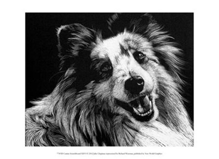 Canine Scratchboard XXVI by Julie Chapman art print