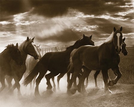 Running Horses &amp; Sunbeams by Monte Nagler art print