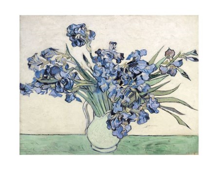 Irises by Vincent Van Gogh art print