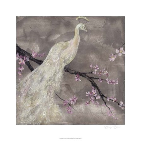 Peacock Serenity I by Jennifer Goldberger art print