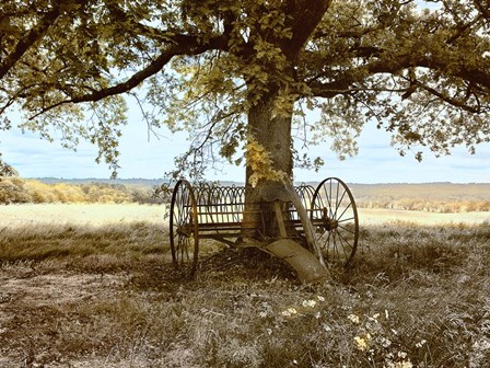 Aux Arbeils Oak by Colby Chester art print