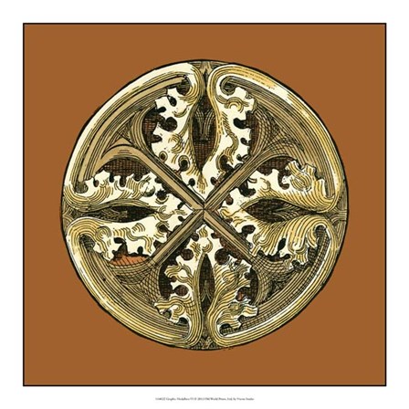 Graphic Medallion VI by Vision Studio art print