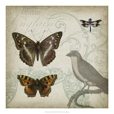 Cartouche &amp; Wings III by Jennifer Goldberger art print