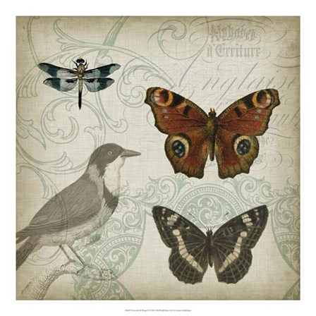 Cartouche &amp; Wings IV by Jennifer Goldberger art print
