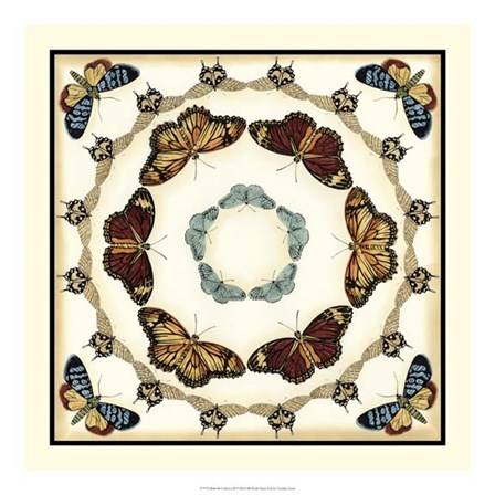 Butterfly Collector II by Chariklia Zarris art print