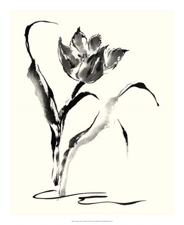 Studies in Ink - Tulip by Nan Rae art print