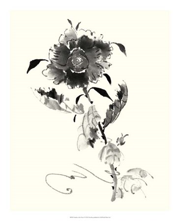 Studies in Ink - Rose I by Nan Rae art print