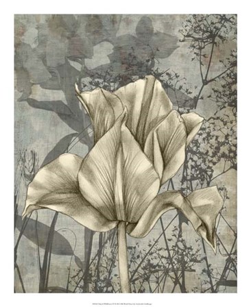 Tulip &amp; Wildflowers IV by Jennifer Goldberger art print