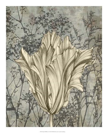 Tulip &amp; Wildflowers V by Jennifer Goldberger art print